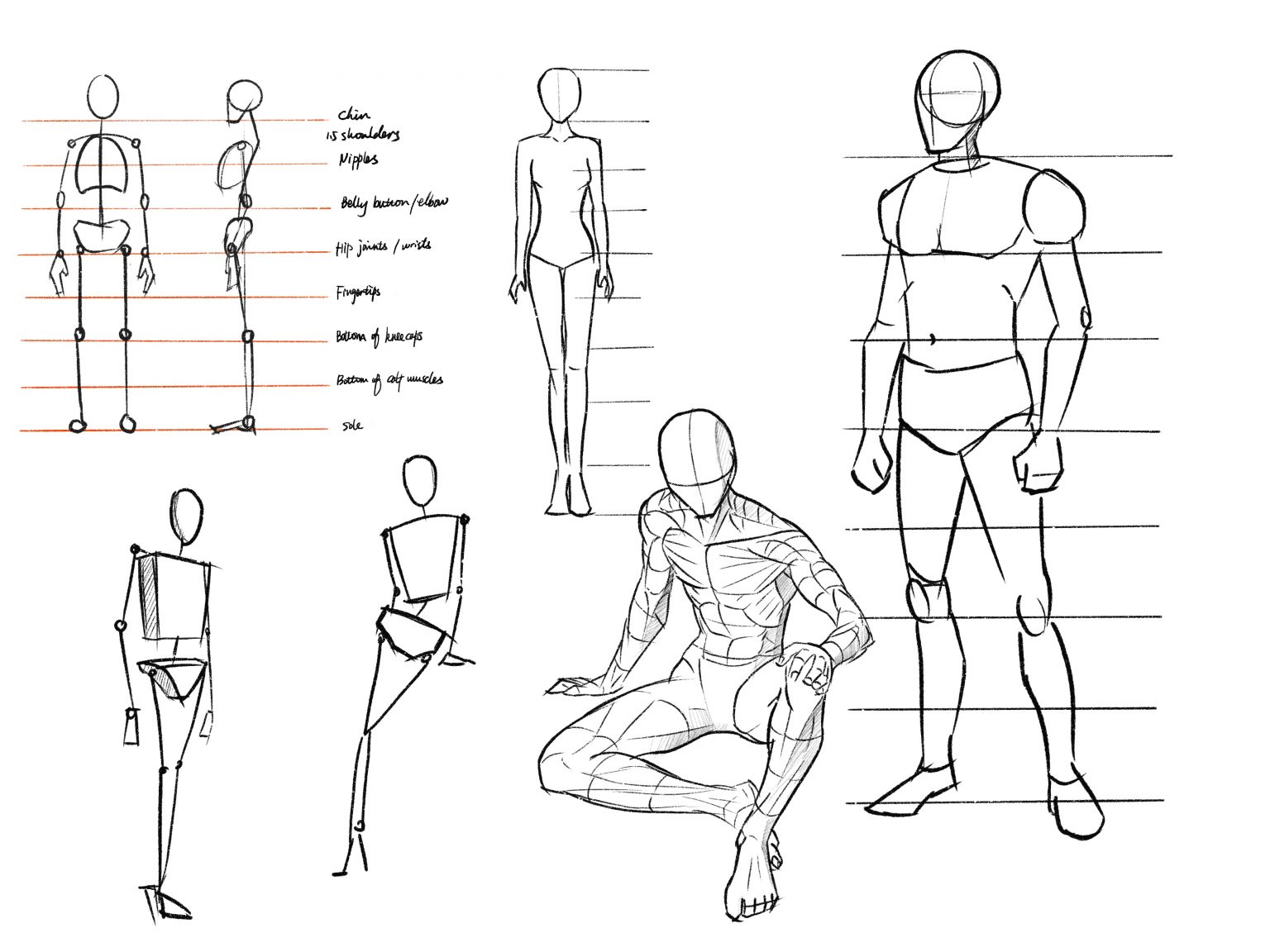Read more about the article Figure Drawing Landmarks