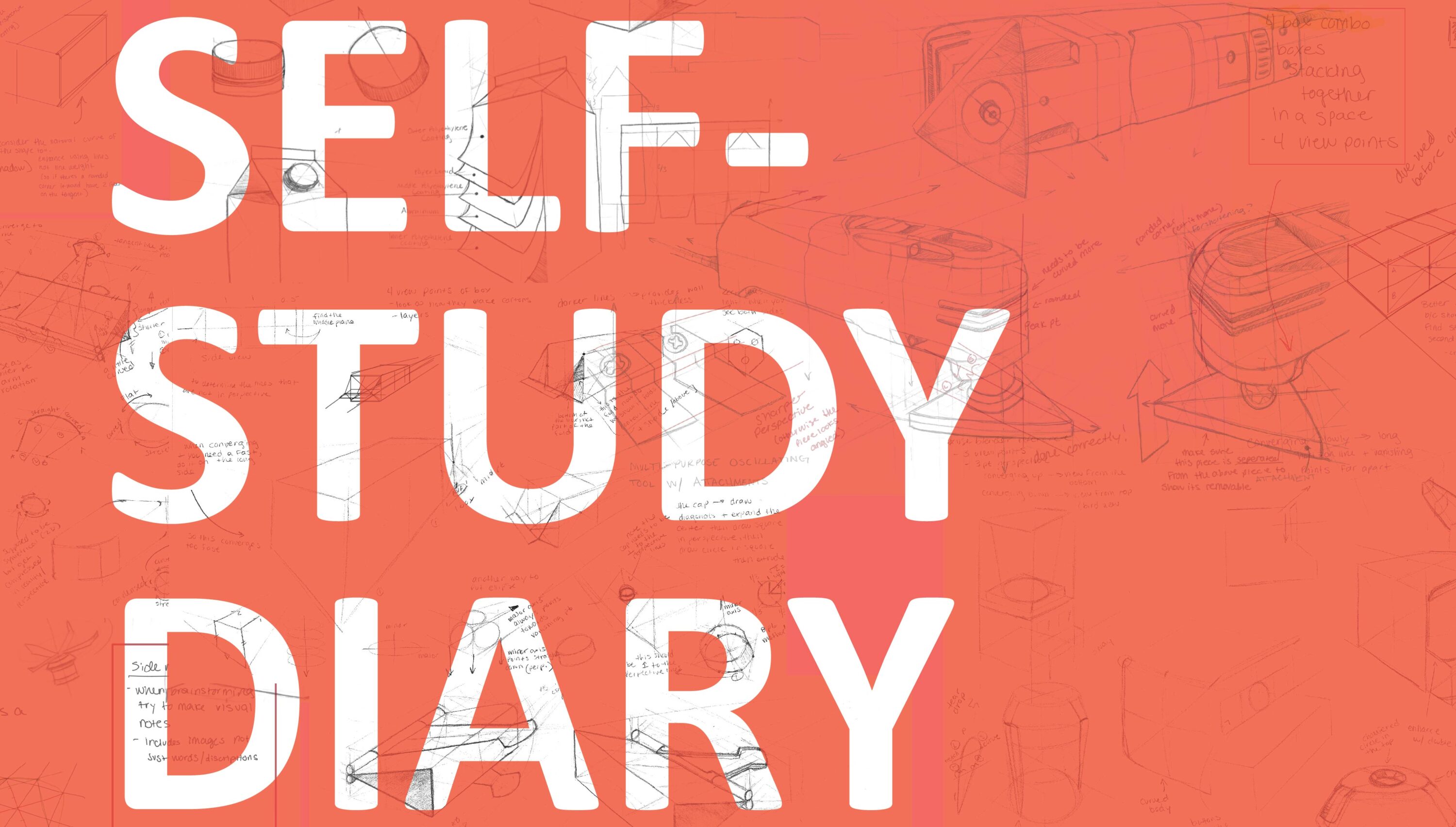 Read more about the article Rebecca’s Self_ Study  Diary