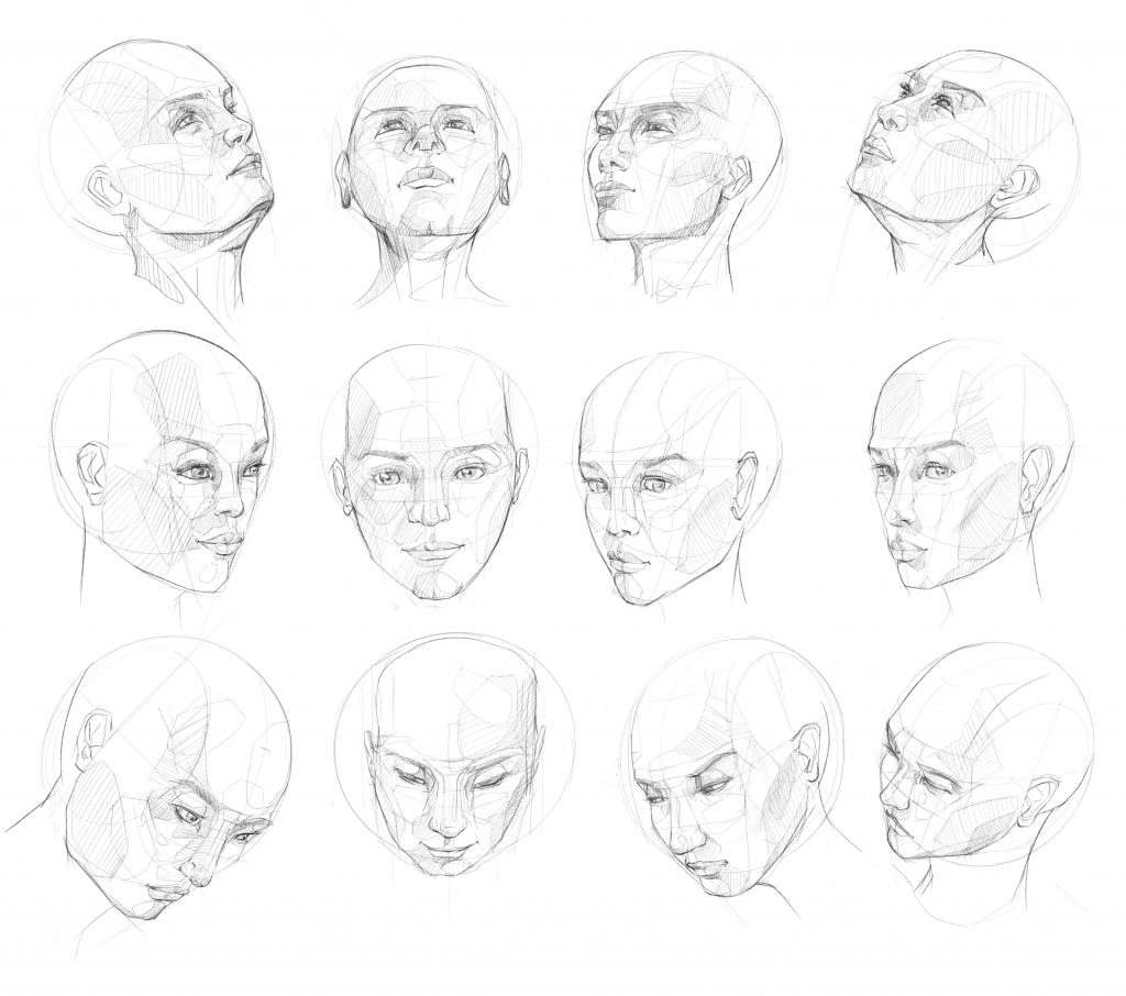 Head in Perspective – poradora